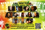 2013 9 Mile Music Festival flyer