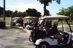 Line of golf carts