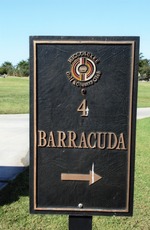 Barracuda Hole 4
