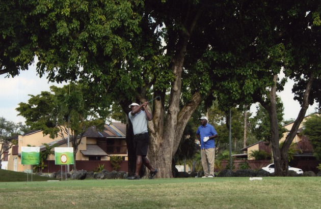 Golfers under tree