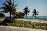 Beach view at Virginia Key