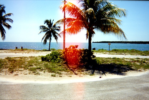 View of beach area at Virginia Key