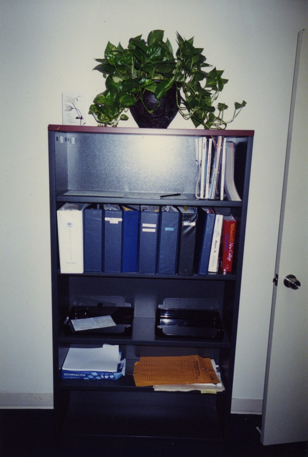Shelf in office