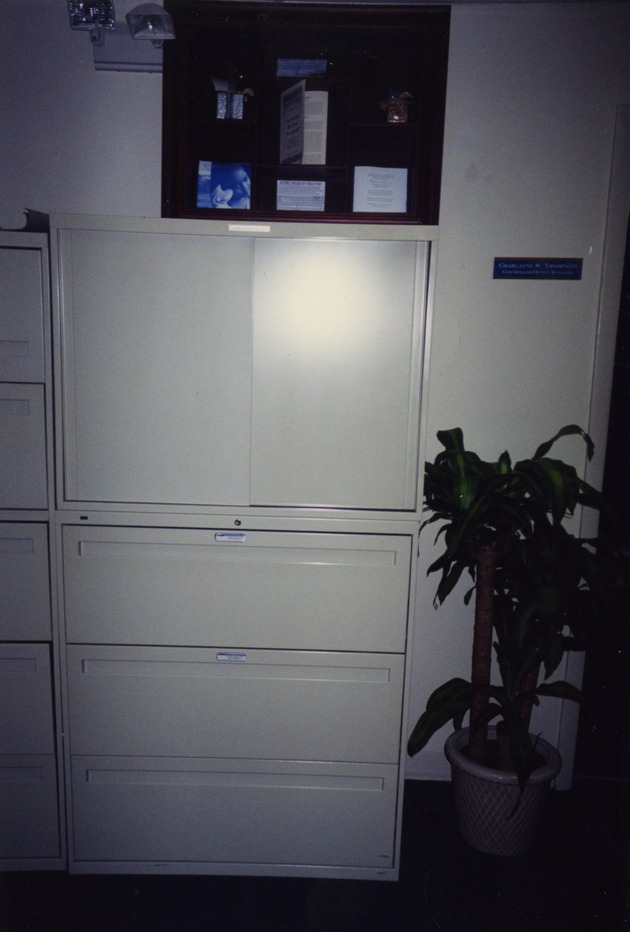 View of metal storage cabinet