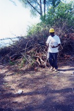 Man in construction hat near tree debris