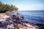Debris on Virginia Key Beach