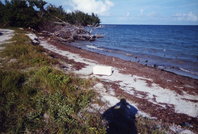 Virginia Key Beach with debris