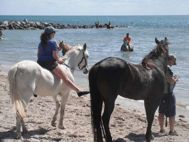 South Florida Trail Riders