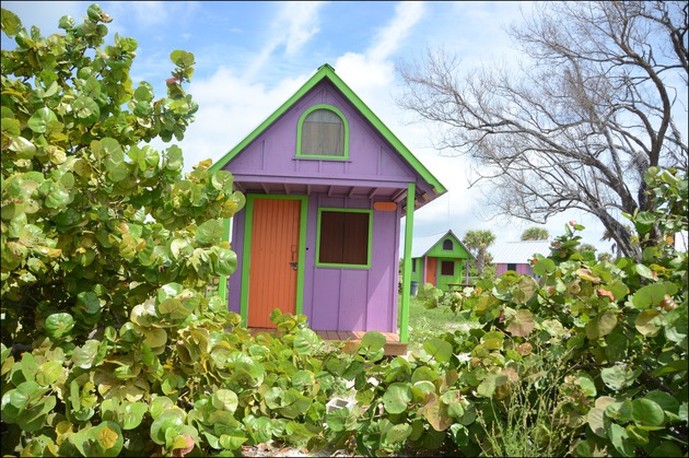 Park Amenities, The Cabins