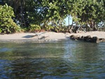 [2012-11-03] Photos of Virginia Key Beach Park From the Water