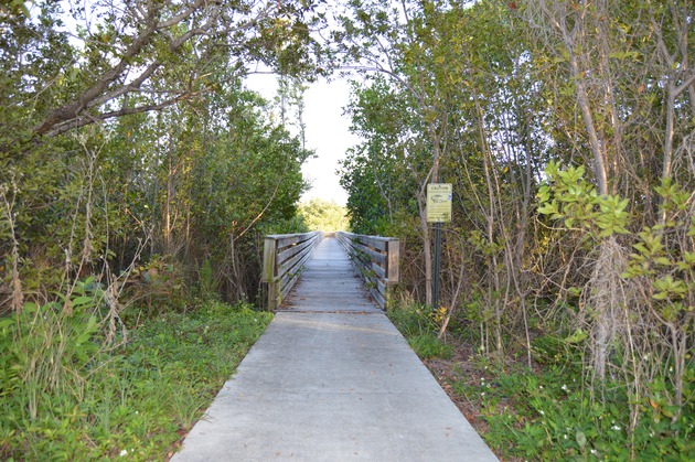 Photos of the Wetland Boardwalk at HVKBP