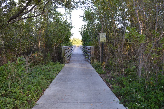 Photos of the Wetland Boardwalk at HVKBP