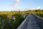 Photos of the Wetland Boardwalk at HVKBP