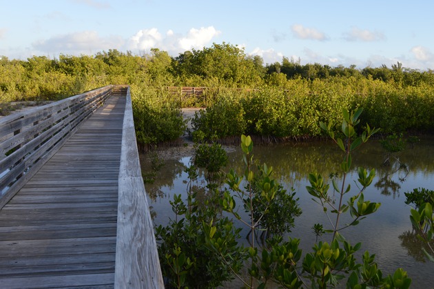 Photos of the Wetland Boardwalk at HVKBP