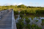 [2015-03-10] Photos of the Wetland Boardwalk at HVKBP