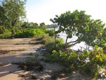 [2012-10-27] Flooding at the Historic Virginia Key Beach Park
