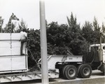 [1970/1990] Reticulated giraffe being moved by a Metro-Dade truck to Miami Metrozoo from Crandon Park Zoo
