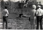 [1980/2000] Adult chimpanzee being watched by visitors at Miami Metrozoo