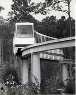 Miami Metrozoo Monorail passing through the trees