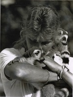 [1960/1980] Two ring-tailed lemurs climbing on zookeeper at Miami Metrozoo
