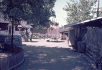 [1970/1990] Children's zoo as seen from the walking path at Miami Metrozoo