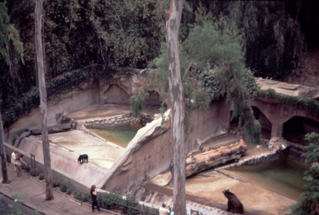 Two bears resting in individual habitats as seen from above being visited at Miami Metrozoo