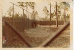 Female and young kudu huddled by the fence awaiting their new Miami Metrozoo habitat
