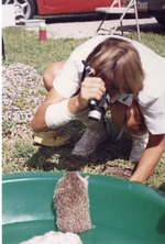 Hedgehog spike being photographed at Miami Metrozoo