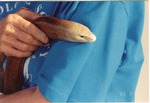 [1993-02-10] European glass lizard being held by a zookeeper at Miami Metrozoo