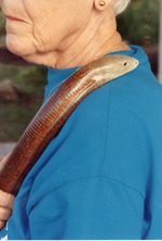 [1993-02-10] European glass lizard peering over a zookeepers shoulder at Miami Metrozoo