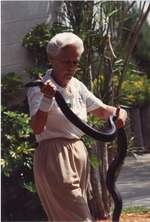 Eastern indigo snake being presented by a zookeeper at Miami Metrozoo
