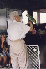 Turquoise-fronted amazon being presented to visitors by a zookeeper at Miami Metrozoo