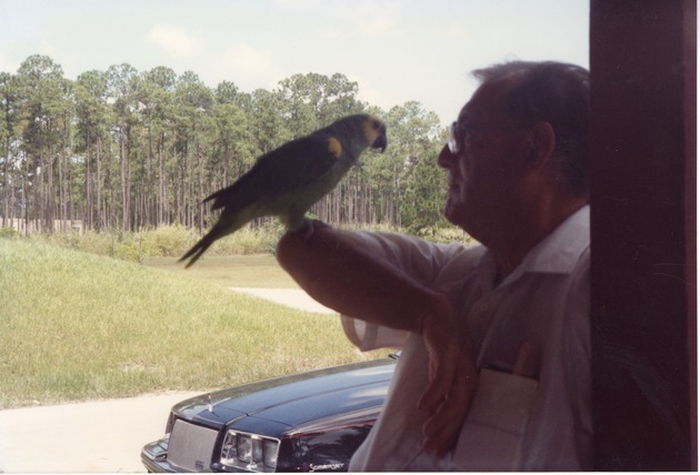Ernie Mitchell with turquoise-fronted amazon Rio perched on his arm at Miami Metrozoo