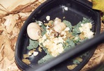 [1990/2000] Two hermit crabs crawling over salad leaves in their enclosure at Miami Metrozoo