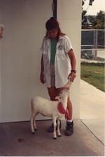 Young goat being fed by zoo keeper Jay at Miami Metrozoo
