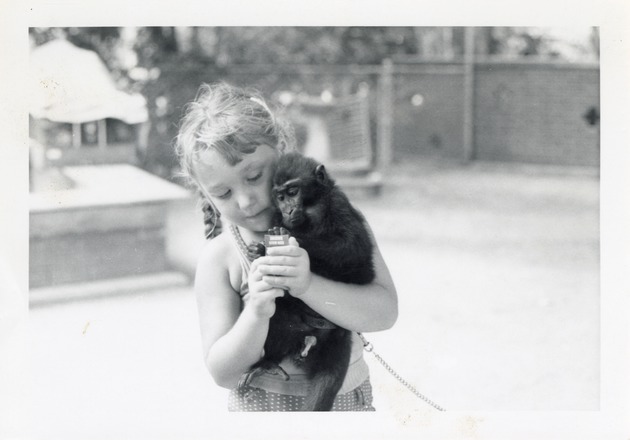 Young zoo guest holding a young Celebes crested macaque named Ralph at Crandon Park Zoo