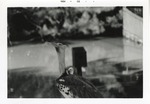 [1968-11] Close-up of a Kori bustard at Crandon Park Zoo