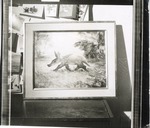 [1950/1970] Portrait of Aardy the Aardvark from Crandon Park Zoo