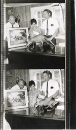 [1950/1970] Two conjoined photographs of an aardvark being presented with a painting at Crandon Park Zoo