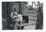 Young llama being carried by zoo staff at Crandon Park Zoo