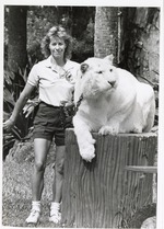 [1980/2000] White tiger being presented to audience by trainer at Miami Metrozoo