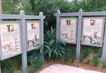 Boards displaying Asian River life informational material at Miami Metrozoo