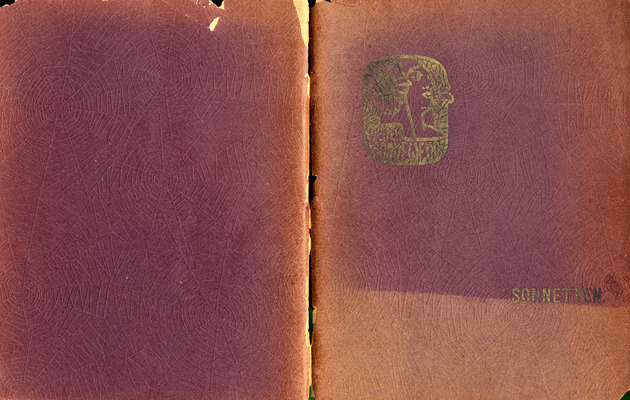 Sonnetten (Book Cover) / van Jeannette Nyhuis, Victor de Meyere, Herman Teirlinck, Fernand Toussaint, Jan van Overeyde ; met voorrede van Willem Kloos ; een antwoord daarop van Prosper van Langendonck ; en ornamentaties en stafletters van Jacobyne Nyhof