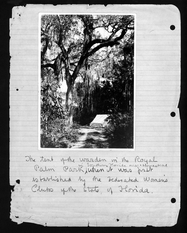 Photographs of Royal Palm State Park, approximately 1916-1925 / collected and captioned by John Gifford. - 1. The tent of the warden [Charles A. Mosier] ... when it was first established, 1916?