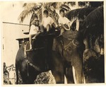 Children riding atop Rosie the elephant