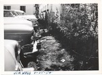 View of front of cars