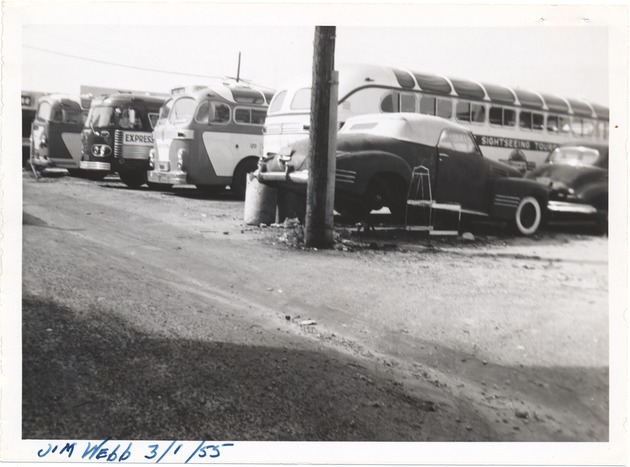 Buses in parking lot