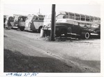 Buses in parking lot