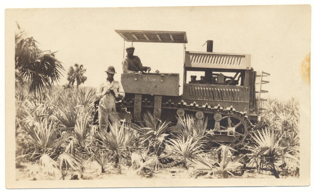 Native vegetation being cleared to develop lots on Miami Beach - Photograph, recto: [Clyde Gamber driving a tractor and clearing palmetto and cabbage shrubs]