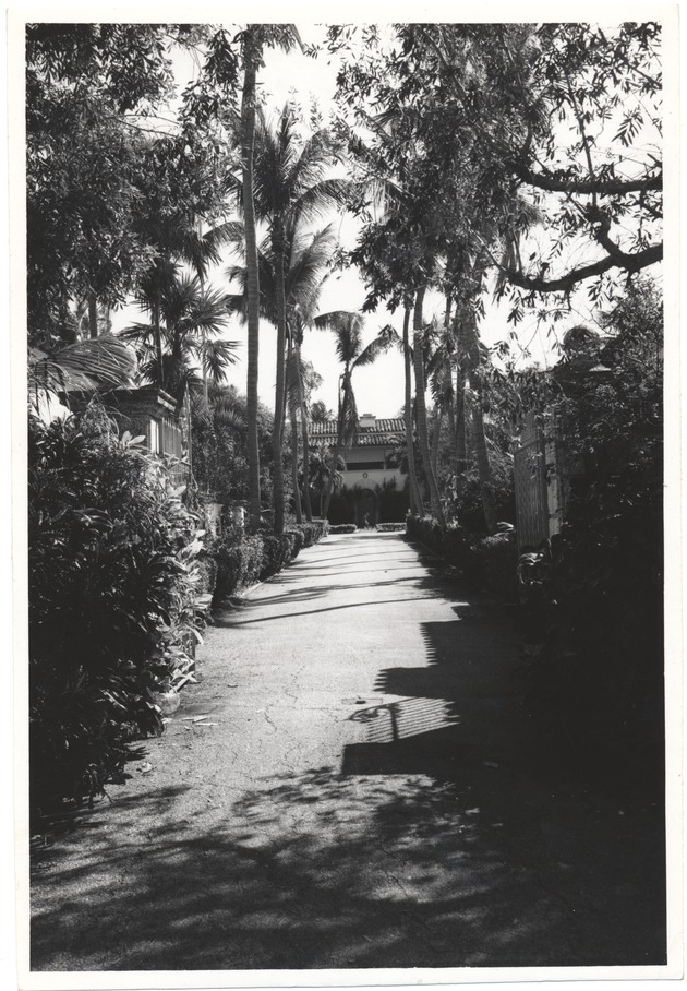 Miami Beach residences, 1959 - Photograph, recto: [View of tree-lined driveway leading to a residential property]